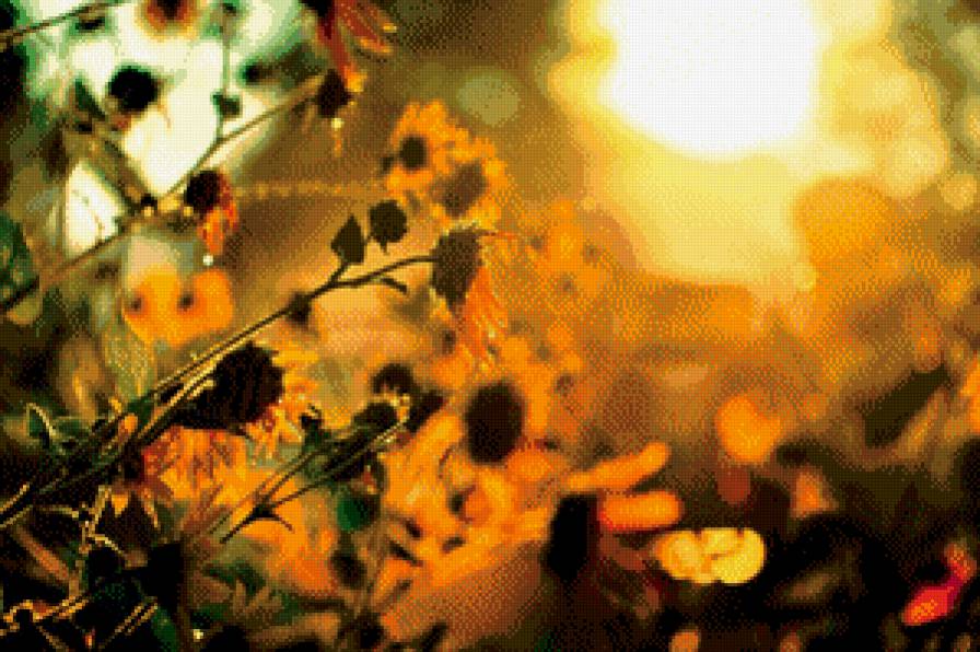 лето - предпросмотр