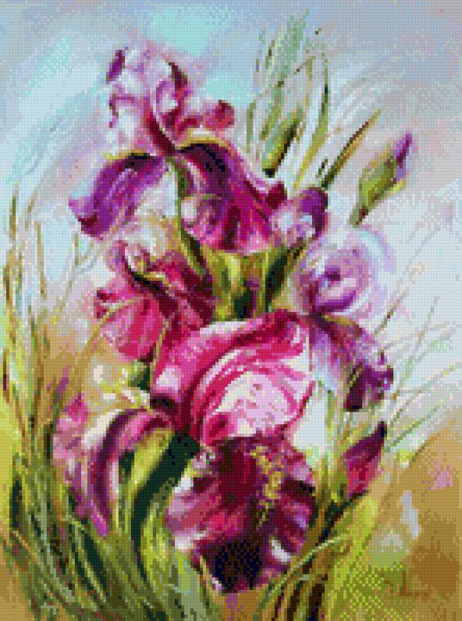 Ирисы - ирисы, цветы - предпросмотр