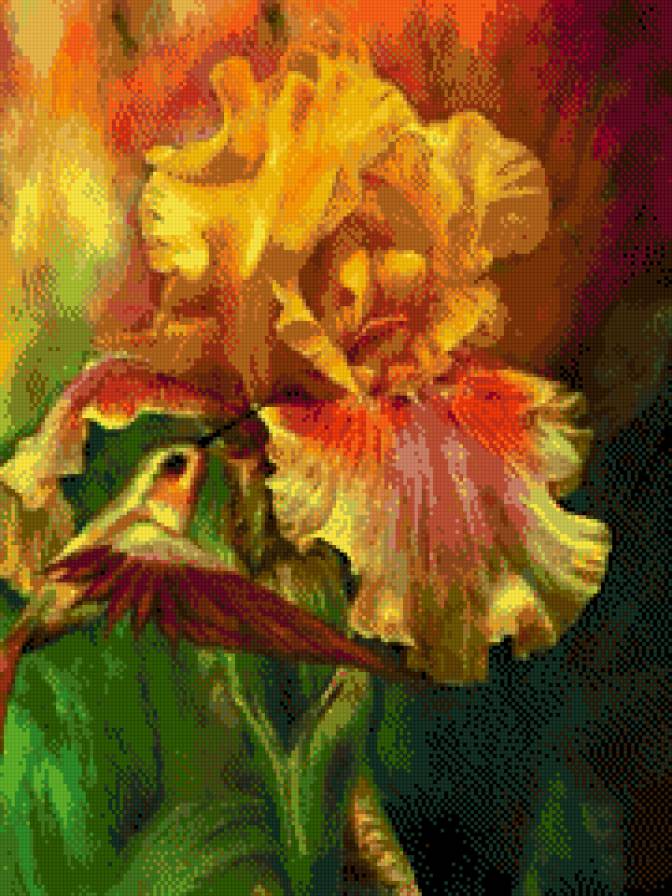 Ирисы - ирисы, цветы - предпросмотр