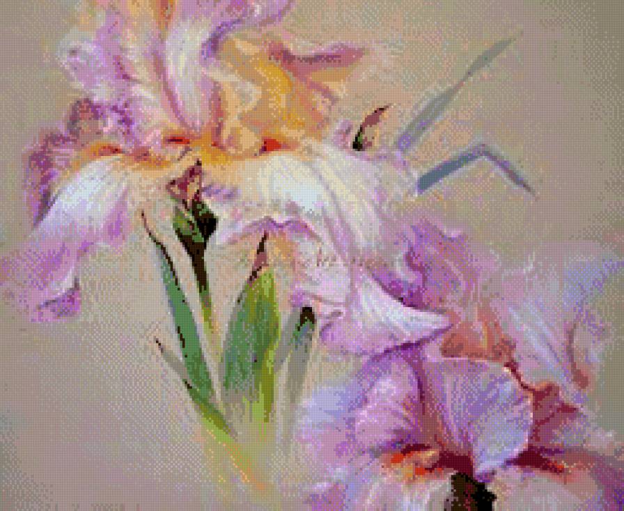 Ирисы - цветы, ирисы - предпросмотр