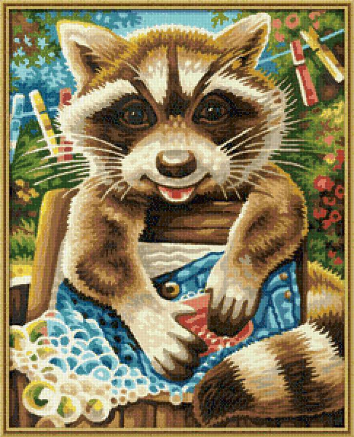 енот полоскун - животные - предпросмотр