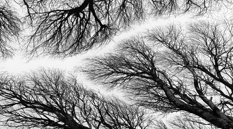 №797185 - оригинал