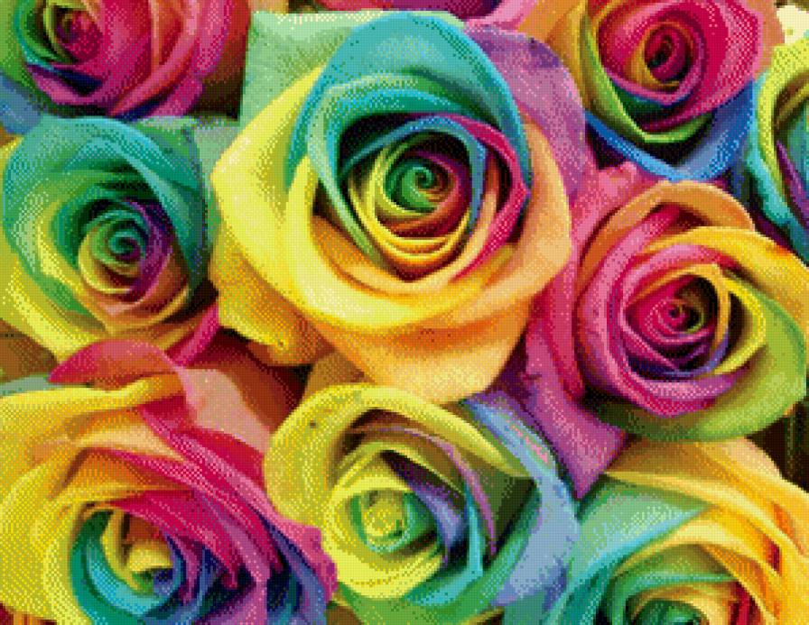 розы - предпросмотр