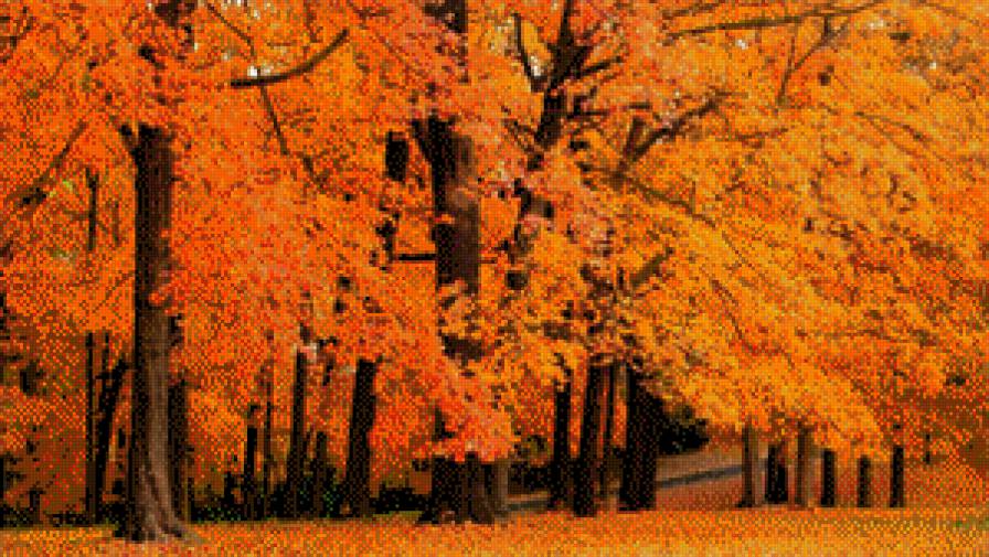 Осень - предпросмотр