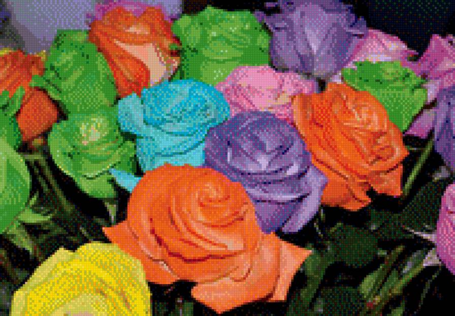 розы - цветы - предпросмотр