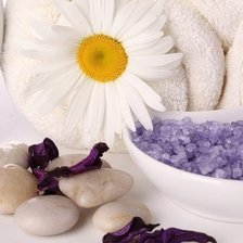 Схема вышивки «картина для ванны»