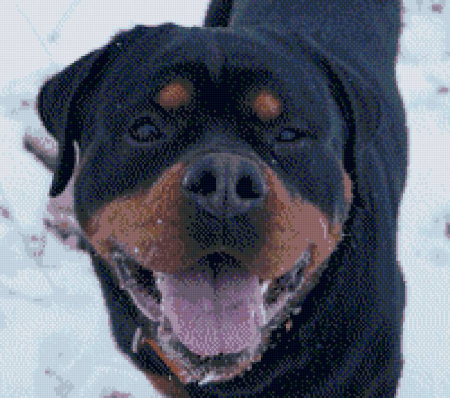 Саби 3 - предпросмотр