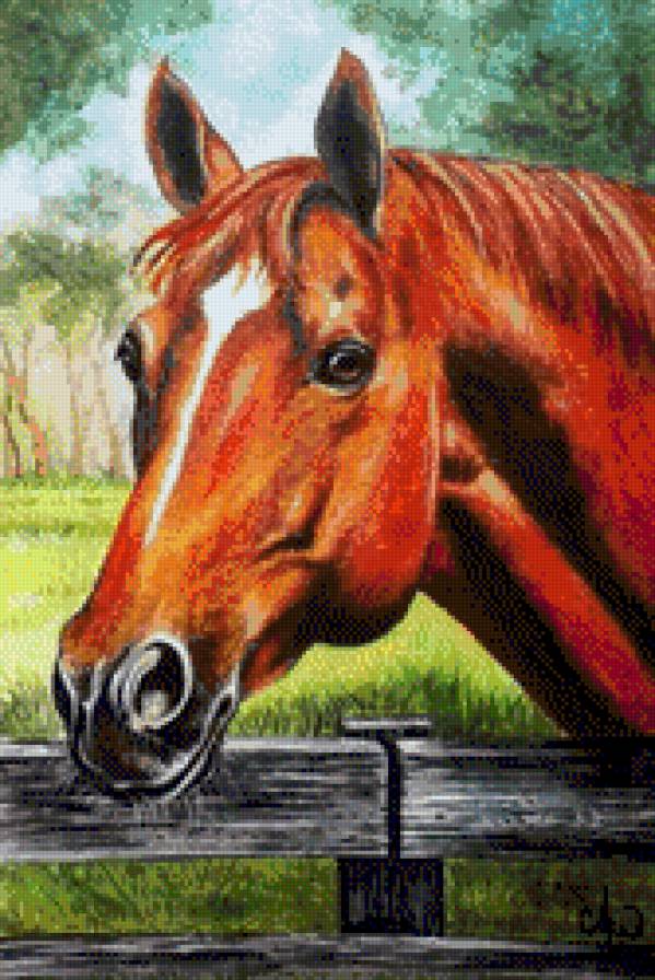 №797829 - предпросмотр