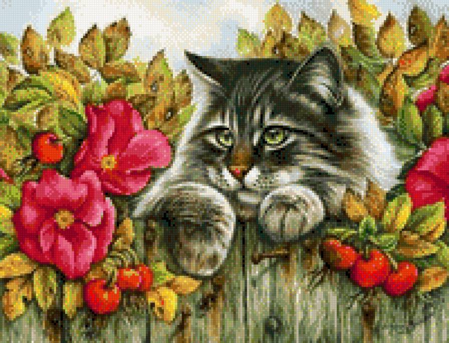 котик 2 - предпросмотр