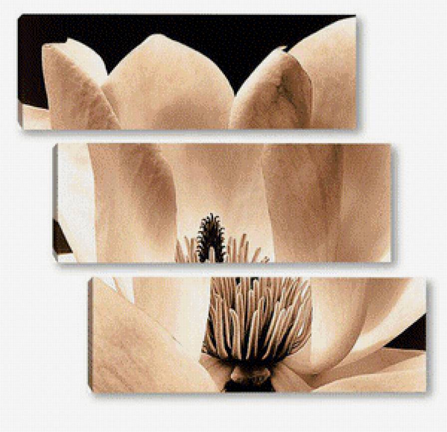 №798031 - предпросмотр