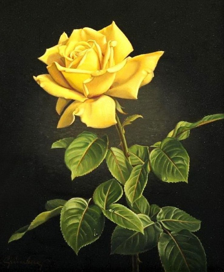 №798449 - оригинал