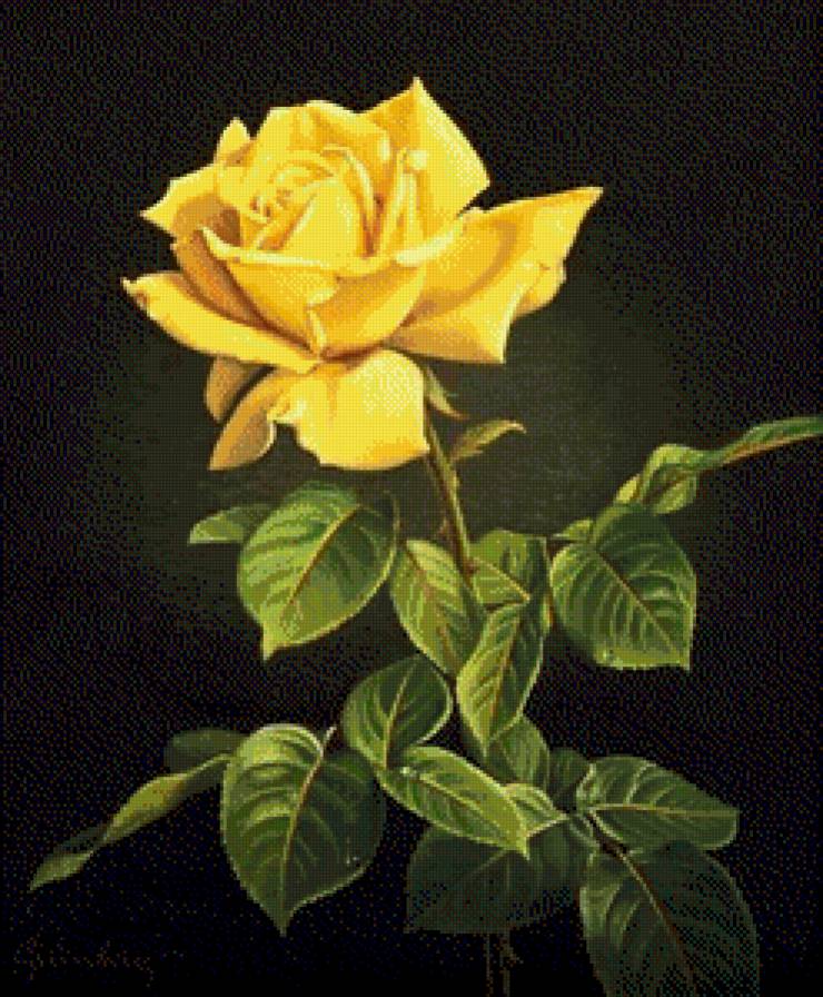 №798449 - предпросмотр