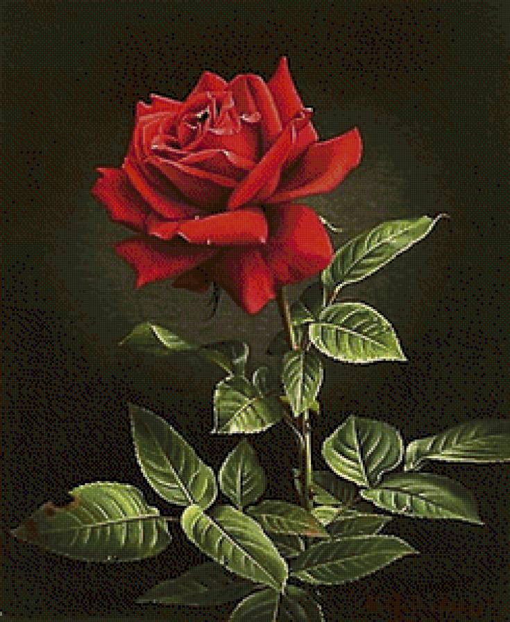 №798455 - предпросмотр