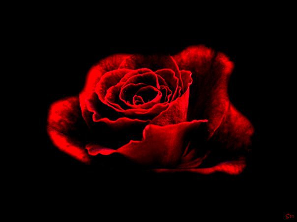 ро - оригинал