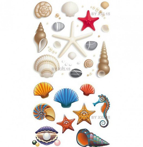 Морской семпл - жемчуг, морская звезда, ракушки, морской конек - оригинал