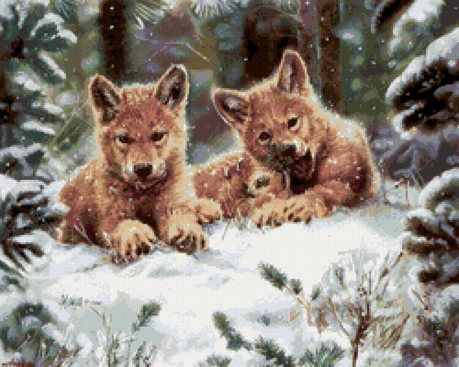 волчата - предпросмотр