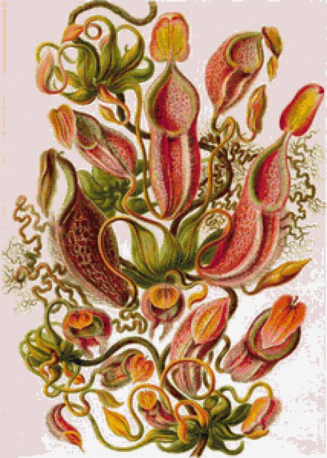 №799190 - орнамент, фэнтези, букет - предпросмотр