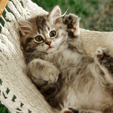 Схема вышивки «котёнок»