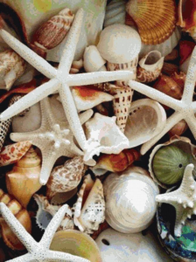 Ракушки - море, панно - предпросмотр