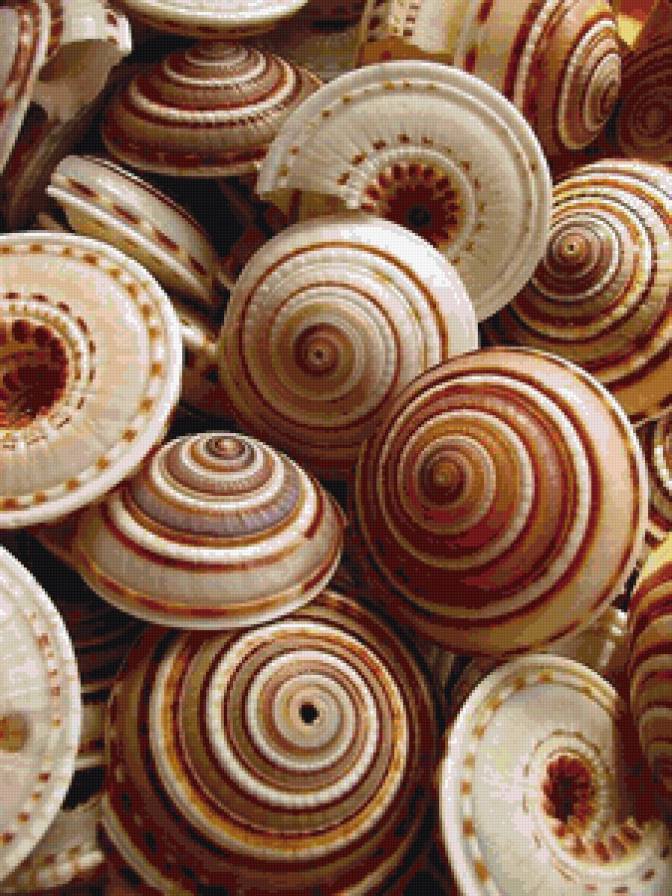 Ракушки - море, панно - предпросмотр