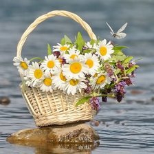 Схема вышивки «Ромашки»