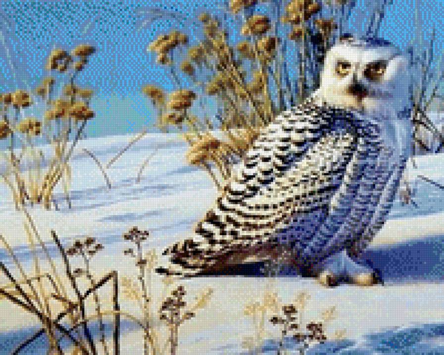 №799514 - предпросмотр