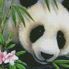 Схема вышивки «№799565»