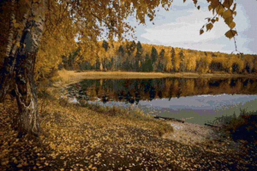 на берегу - река, осень, дерево, пейзаж, лес - предпросмотр