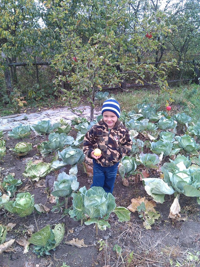 В капусте - дети.природа.овощи.осень. - оригинал