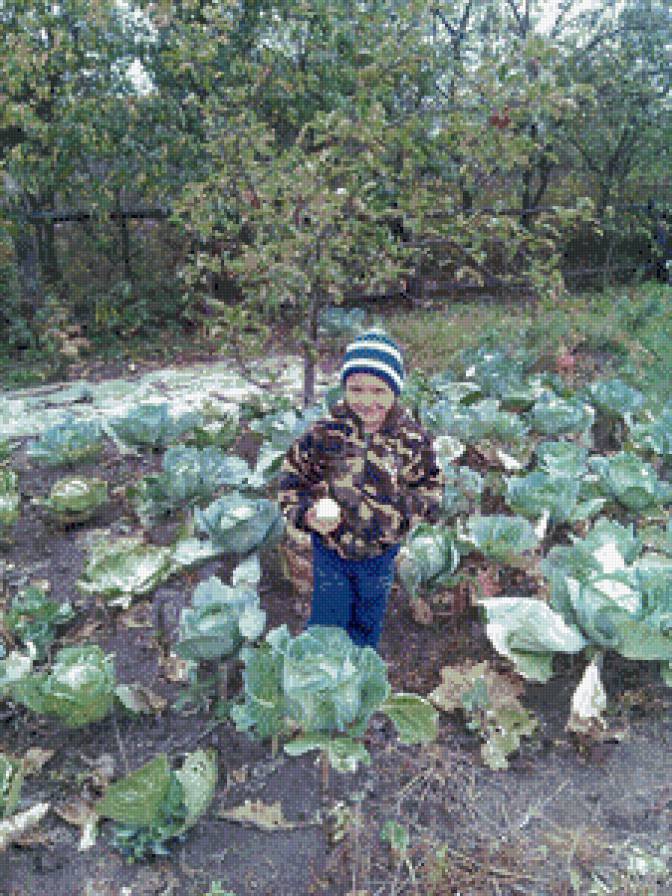 В капусте - дети.природа.овощи.осень. - предпросмотр