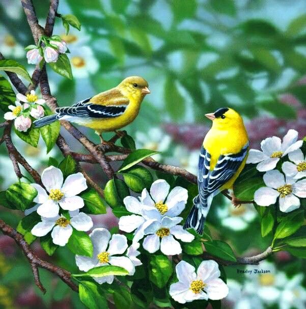 №800092 - оригинал