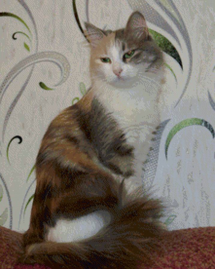 Кошка - предпросмотр