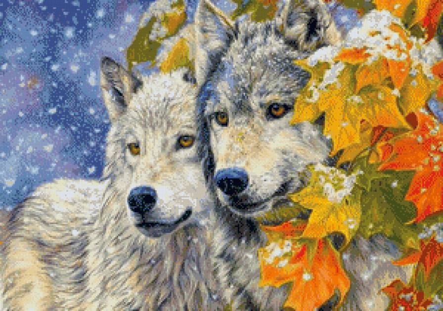 волки - животные - предпросмотр