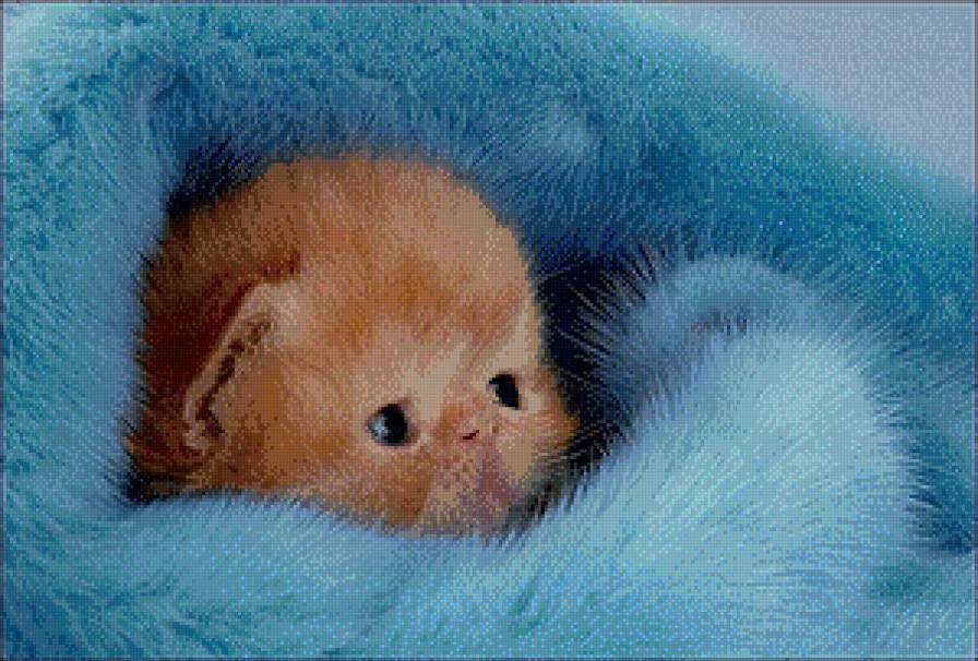 пушистик - котенок - предпросмотр