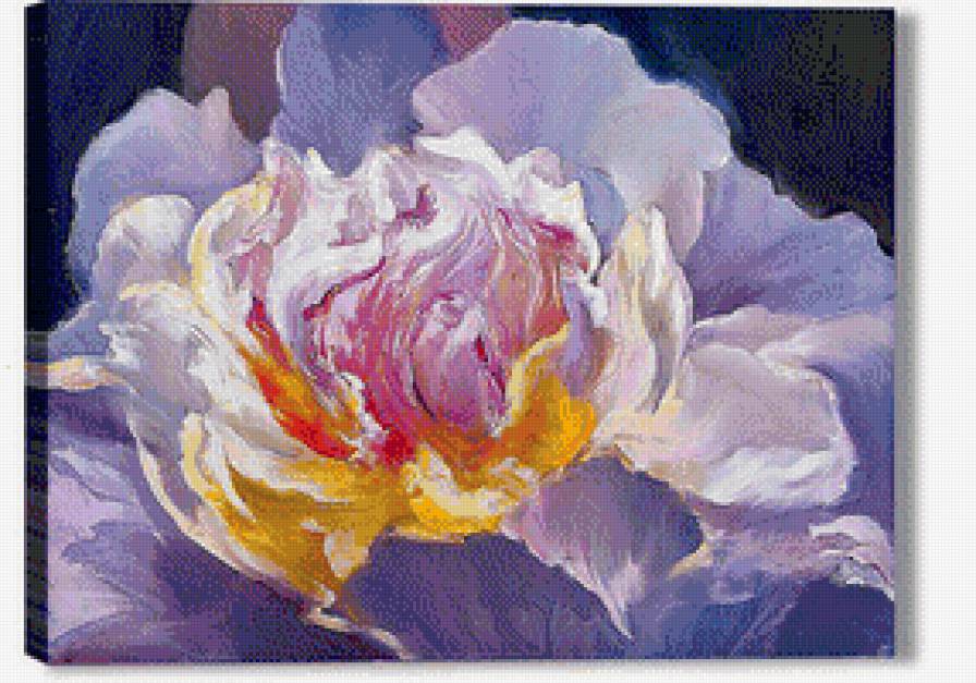 цветок"императора" - предпросмотр