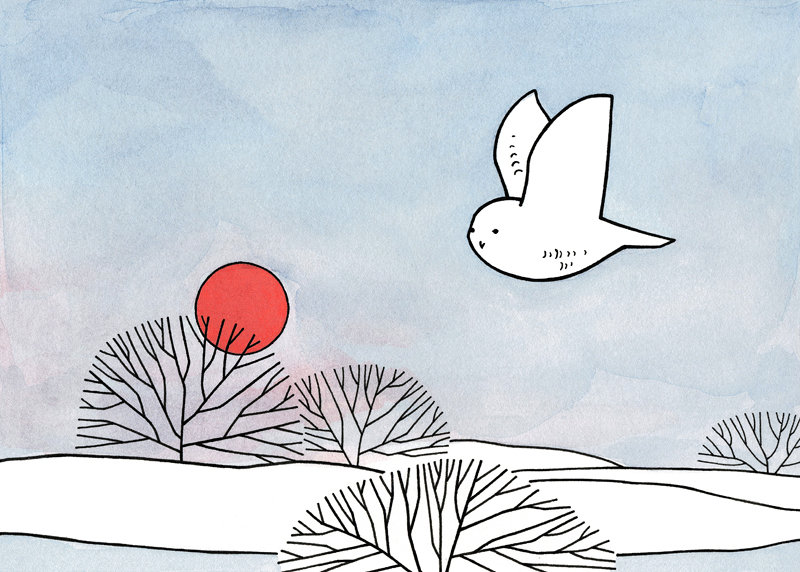 сова3 - сова, солнце - оригинал