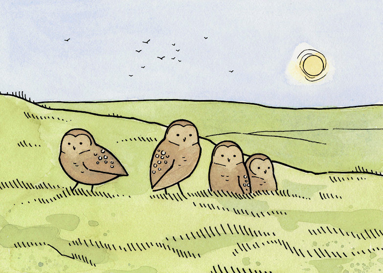 сова456 - оригинал