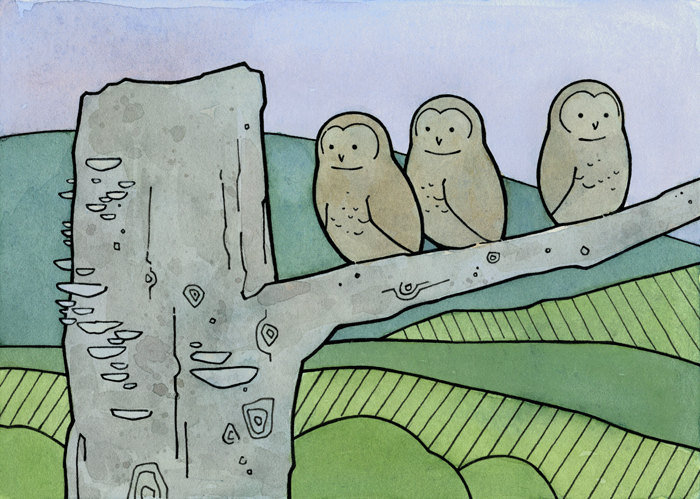 сова56789 - оригинал