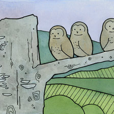 Схема вышивки «сова56789»