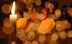 Розы и свеча - огонь, розы, цветы, свеча - оригинал