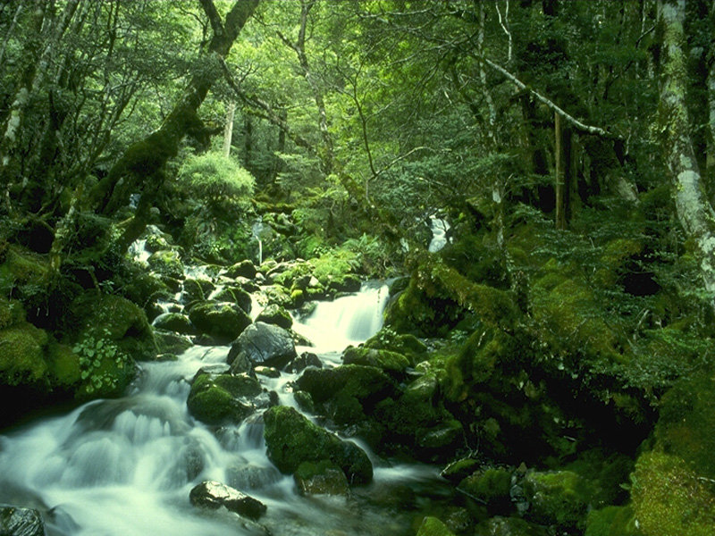 пейзаж - оригинал