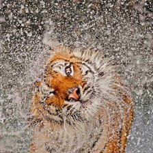 Оригинал схемы вышивки «Блаженство....» (№801433)