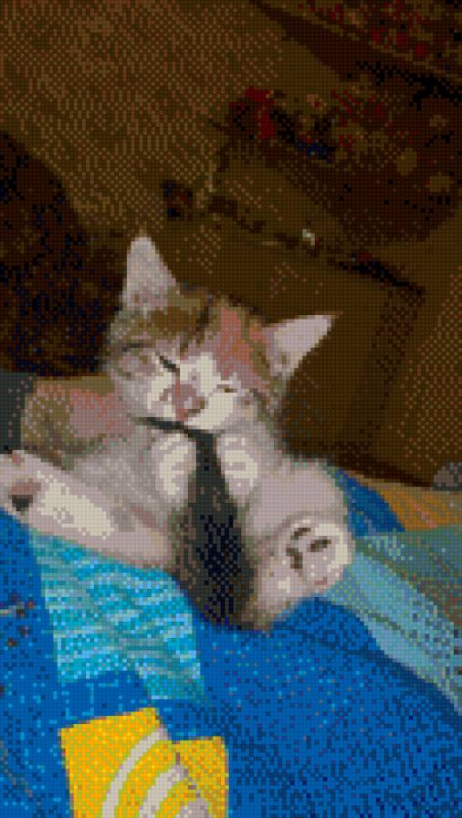 Дуся-котейка - предпросмотр