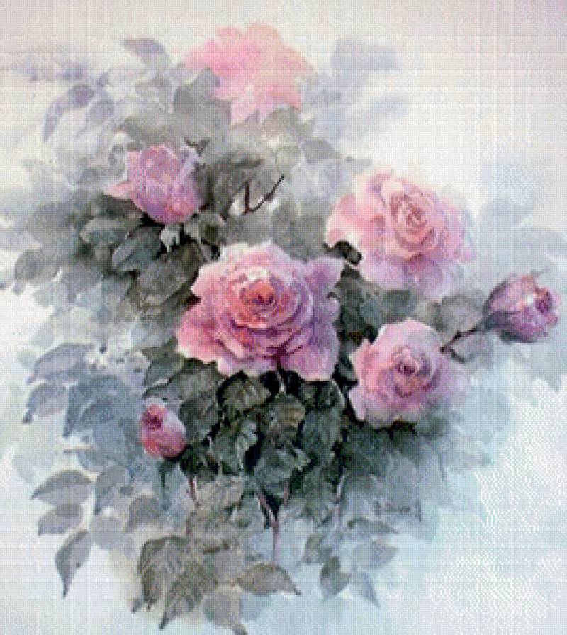 розы - цветы - предпросмотр