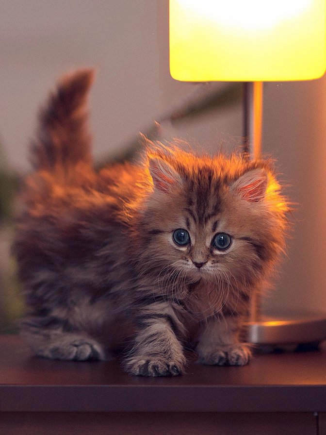 Малышка - оригинал