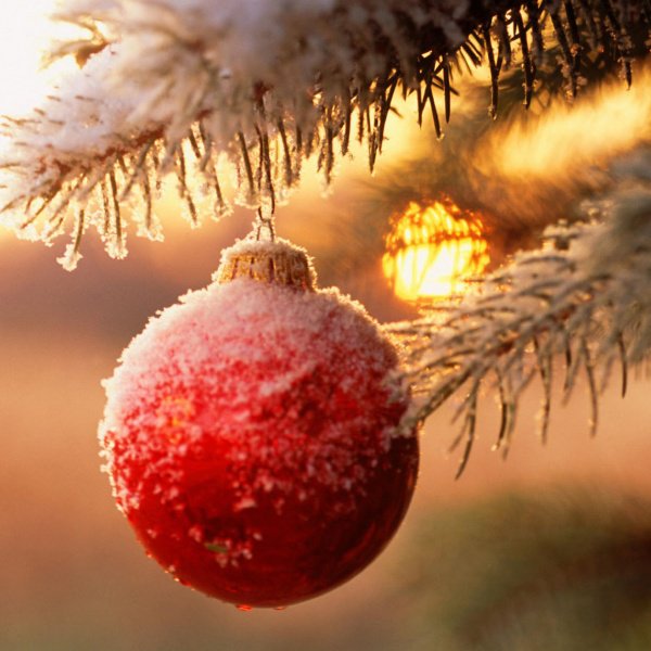 елочный шарик - игрушки, елка, новый год, зима - оригинал