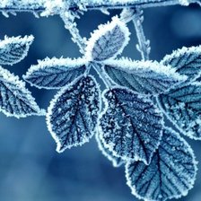 Схема вышивки «иний»