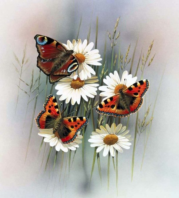 №801888 - оригинал