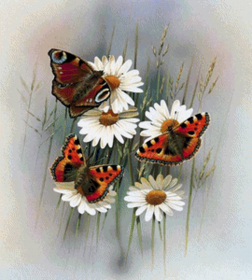 №801888 - предпросмотр