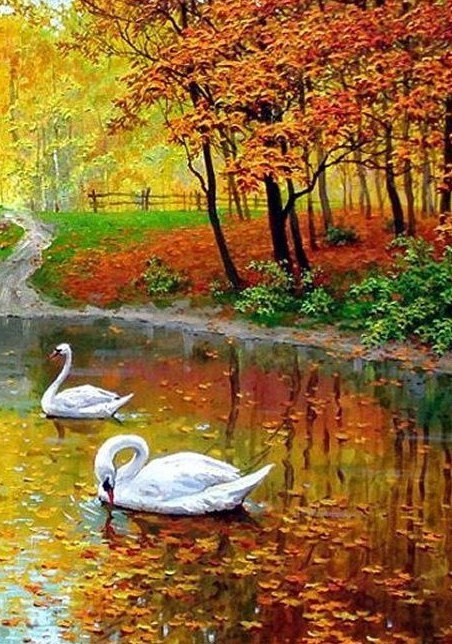 лебеди - природа, лебеди, осень, пейзаж - оригинал